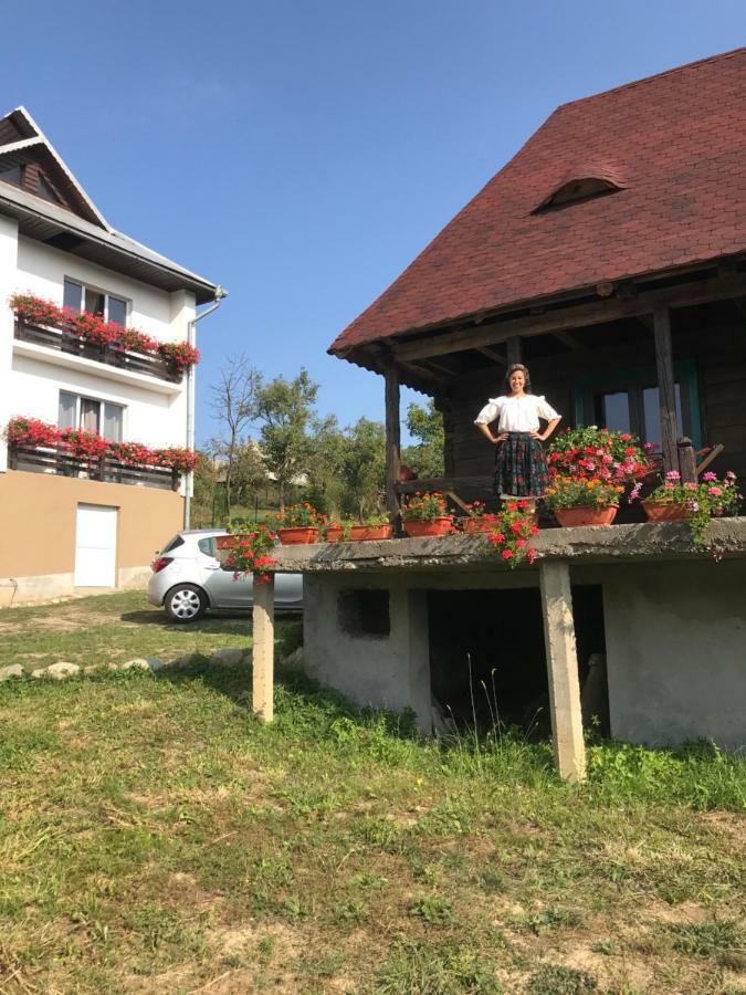 Văleni Casa Relax酒店 外观 照片