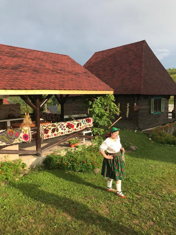 Văleni Casa Relax酒店 外观 照片