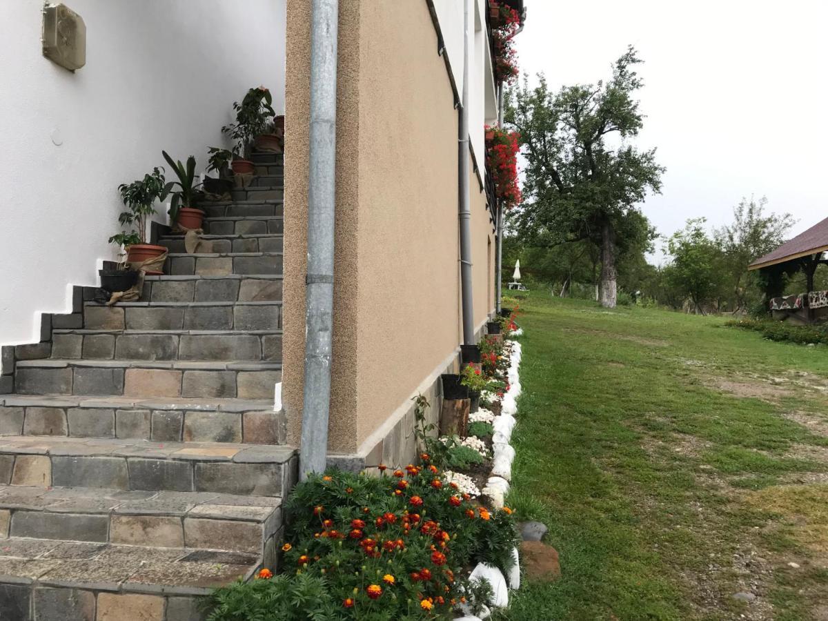 Văleni Casa Relax酒店 外观 照片